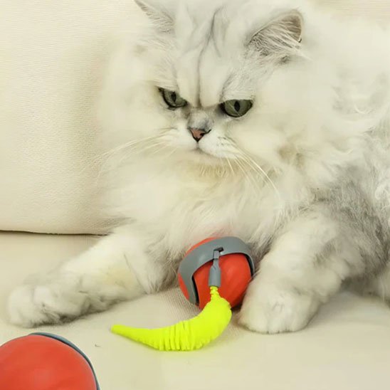 Jouets interactifs pour Chat balle