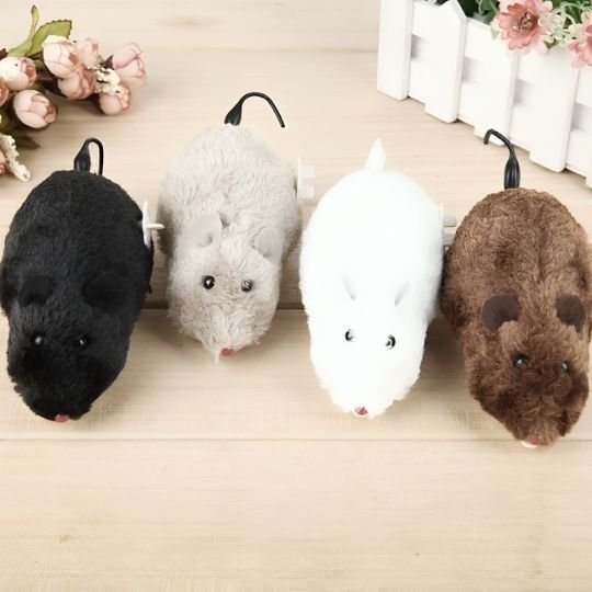 Jouets interactifs pour Chat choix de couleur