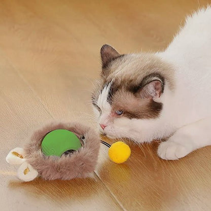Jouets interactifs pour Chat | FélinStimul - Satisfaction Félin