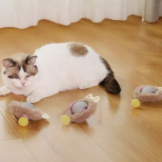 Jouets interactifs pour Chat rechargeable