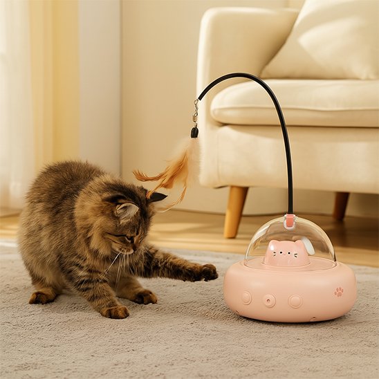 Jouets interactifs pour Chat rechargeable