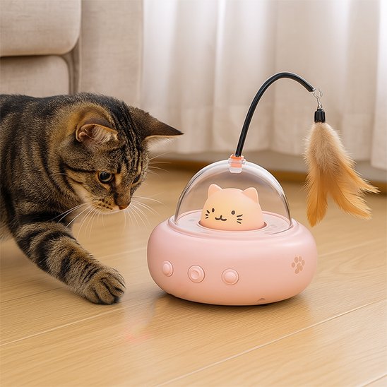 Jouets interactifs pour Chat rose