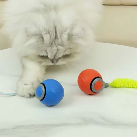 Jouets interactifs pour Chat rouge