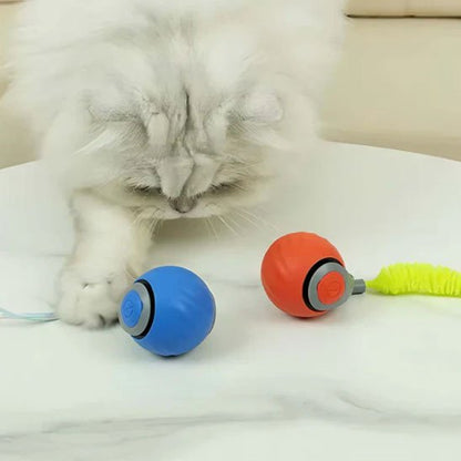 Jouets interactifs pour Chat rouge