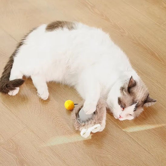 Jouets interactifs pour Chat slimulant