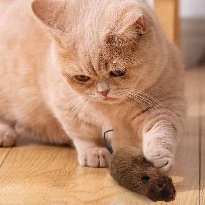 Jouets interactifs pour Chat souris noir