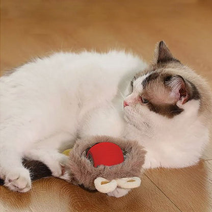 Jouets interactifs pour Chat sur roulette