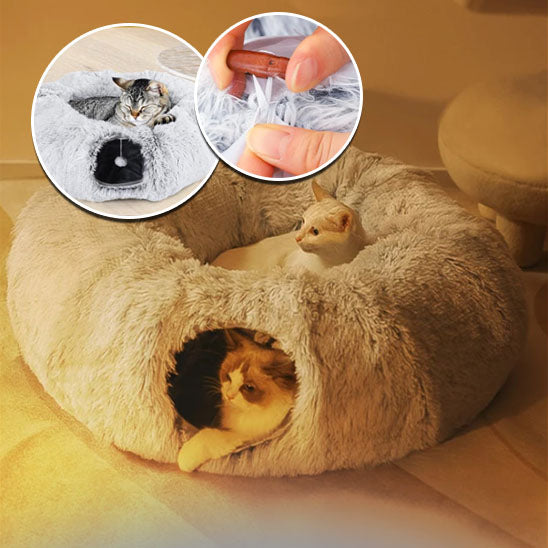 lit-pour-chat