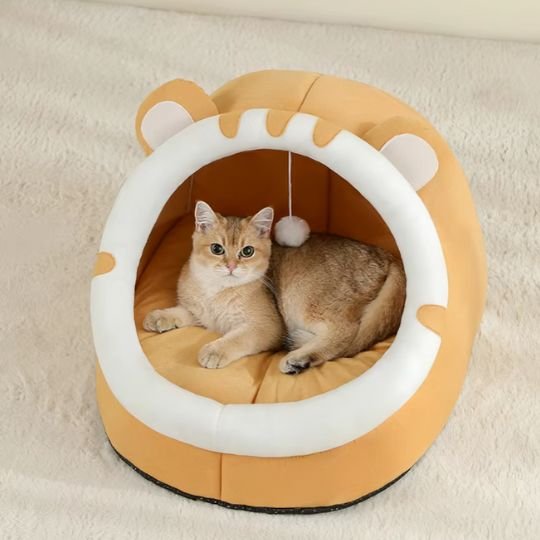 niche-chat-orange-et-blanc