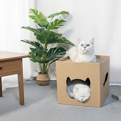 Maison en carton pour chat confortable