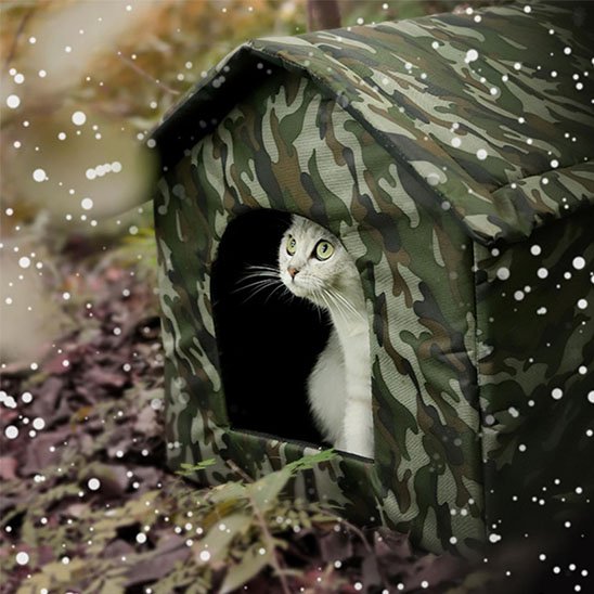 Niche exterieur pour chat camo