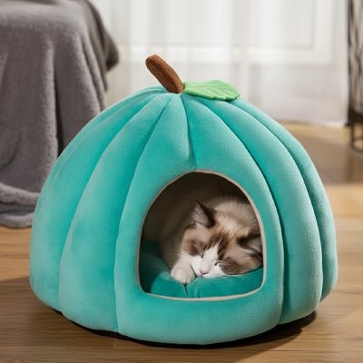 niches pour chat citrouille bleu