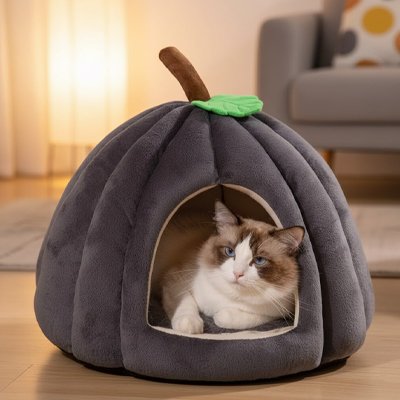 niches pour chat citrouille gris
