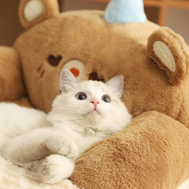 canape-chat-original