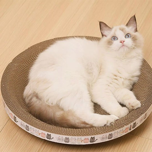 griffoir-chat-carton-cercle