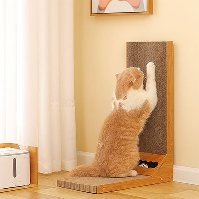 Griffoir Chat Carton | Design 90 Degrés