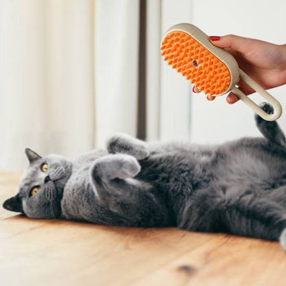brosse-chat-vapeur