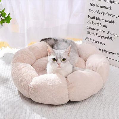 coussin-pour-chat-Beige
