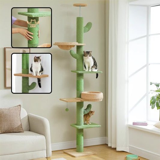 Arbre à chat | Design Élégance