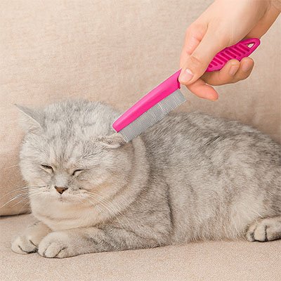 Peigne pour chat | 3-en-1 Premium