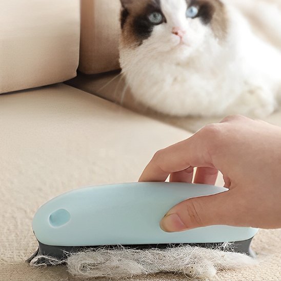 Brosse-anti-poil-bleu