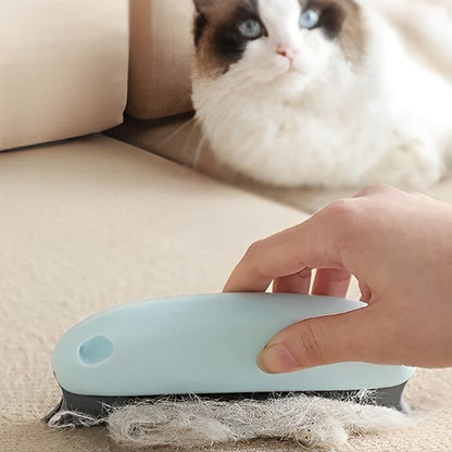 Brosse-anti-poil-bleu