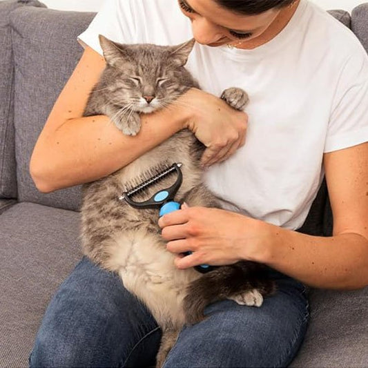 brosse-pour-chat-révolutionnaire