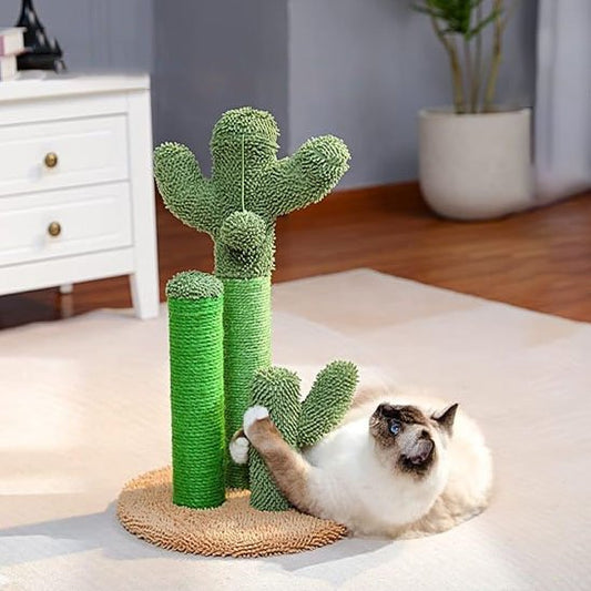 griffoir-chat