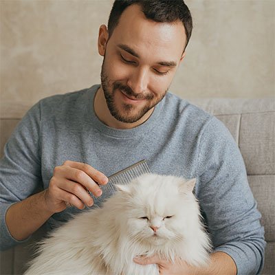 Peigne pour chat | ShinyShed