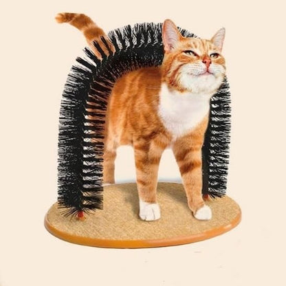Brosse-chat-autonome