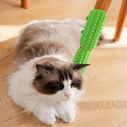 brosse-à-chat-vert