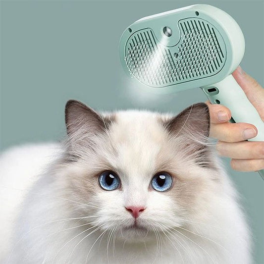 brosse-chat-vapeur