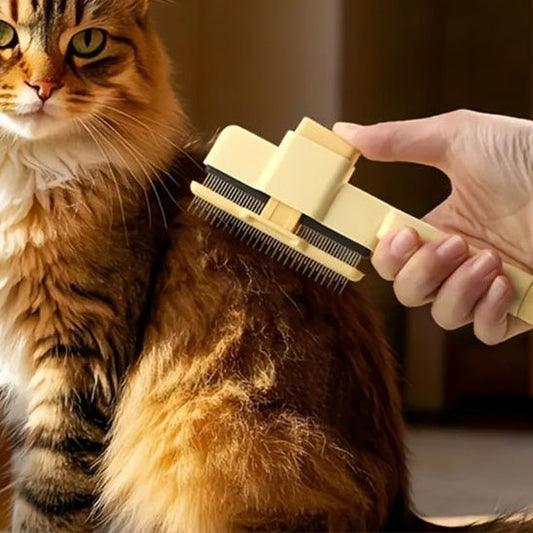 brosse-pour-chat-puce