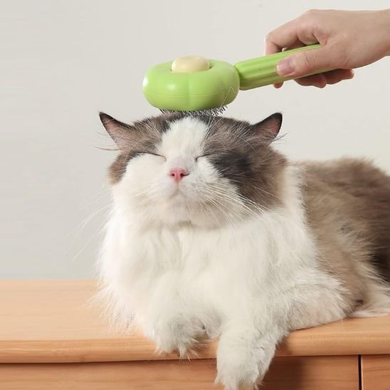 Brosse-chat-avocat