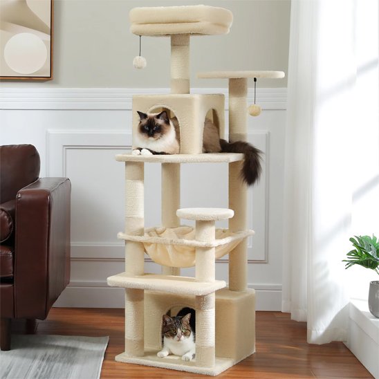 Arbre à chat | Design Noble