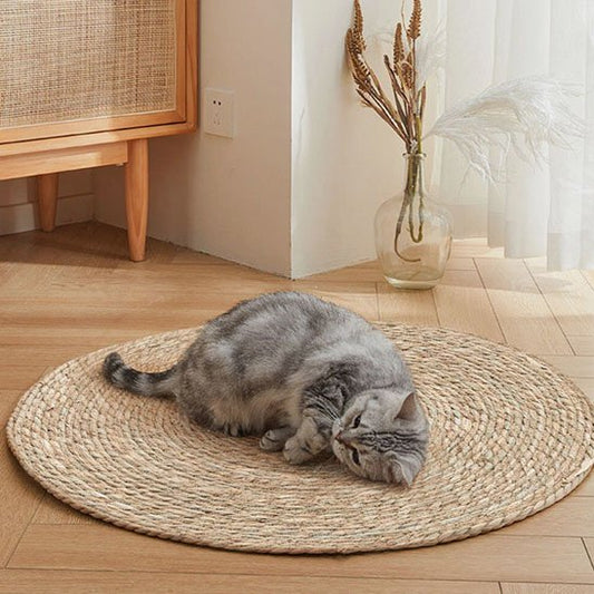 Griffoir-chat-ciculaire