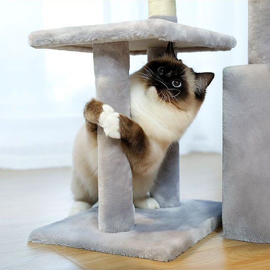 petit-arbre-a-chat