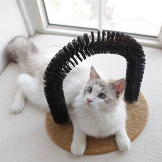 Brosse-chat-douce