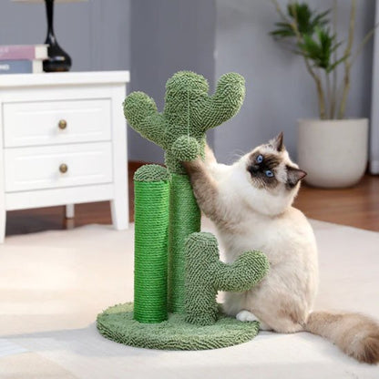 griffoir-cactus