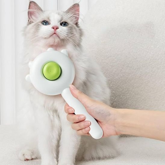 Brosse-chat-blanc