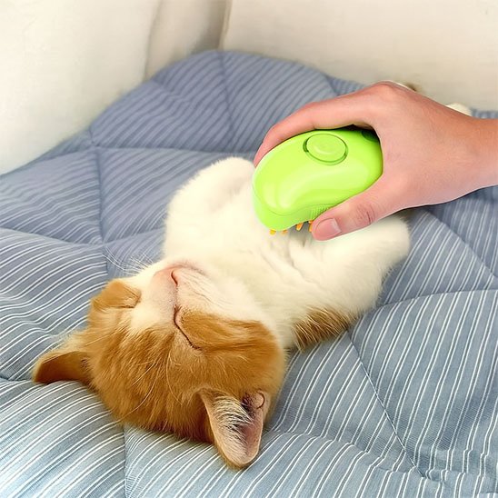 Brosse-poil-chat-silicone