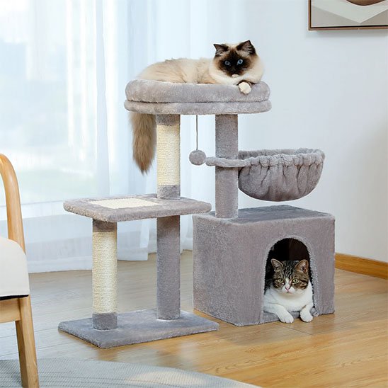 arbre-a-chat-compact