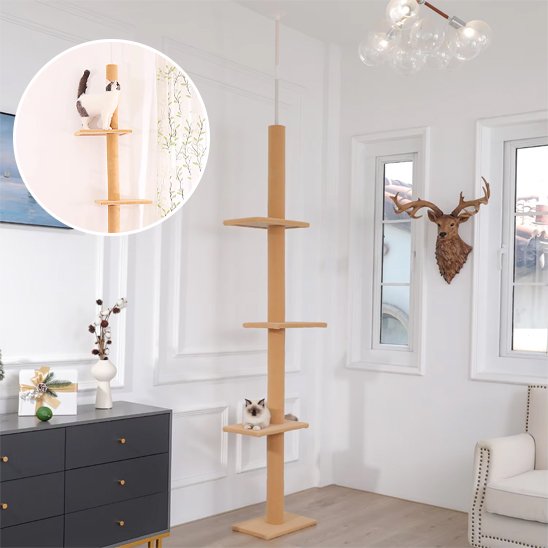 Arbre à chat | Design Élégance