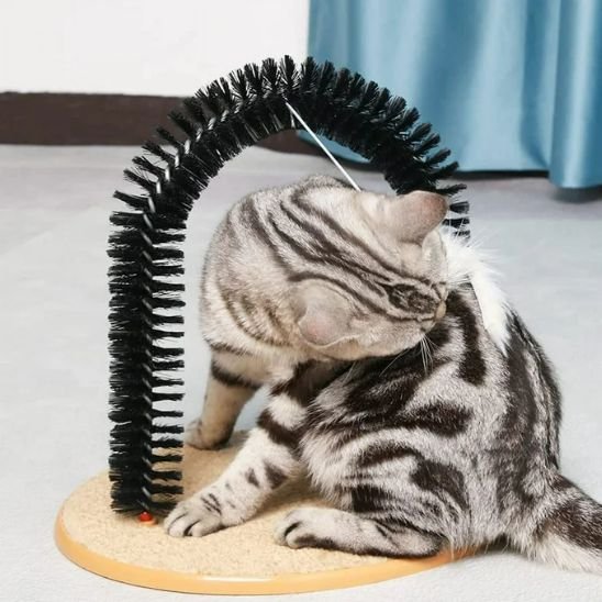 Brosse-chat-auto-toilettage