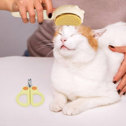 Brosse-chat-douceur