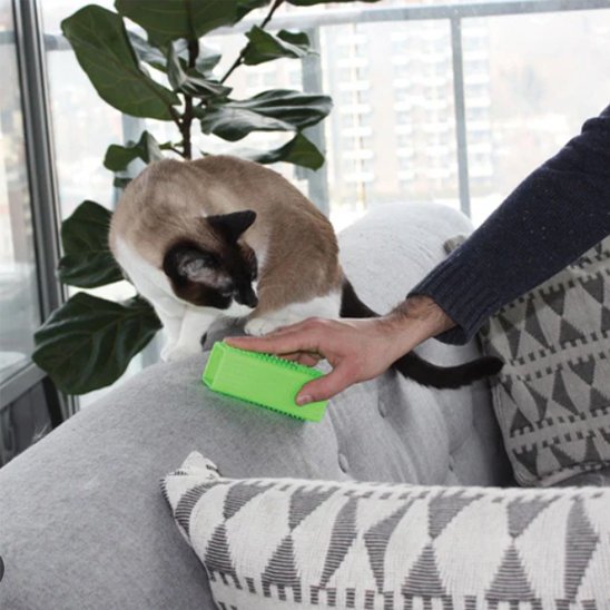 Brosse-anti-poil-economique