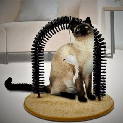 Brosse-chat-beau-poils
