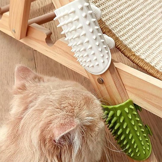 brosse-à-chat-amusante