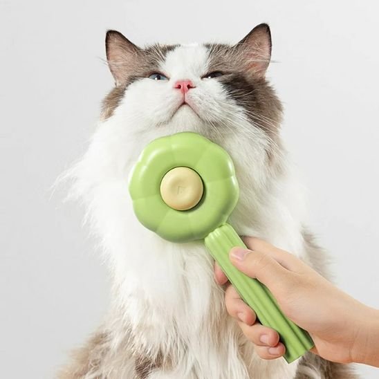 Brosse-chat-doux