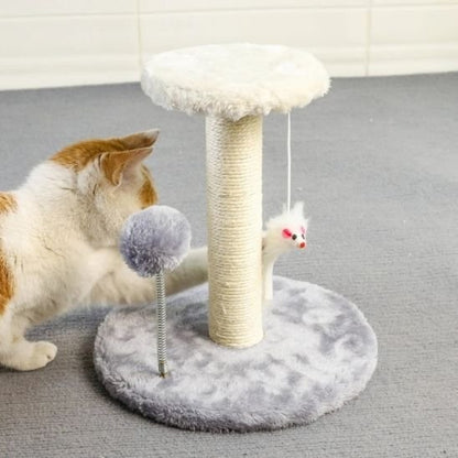 griffoir-chat